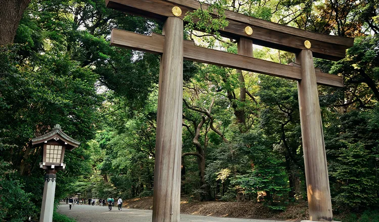 Meiji Jingu Shrine 