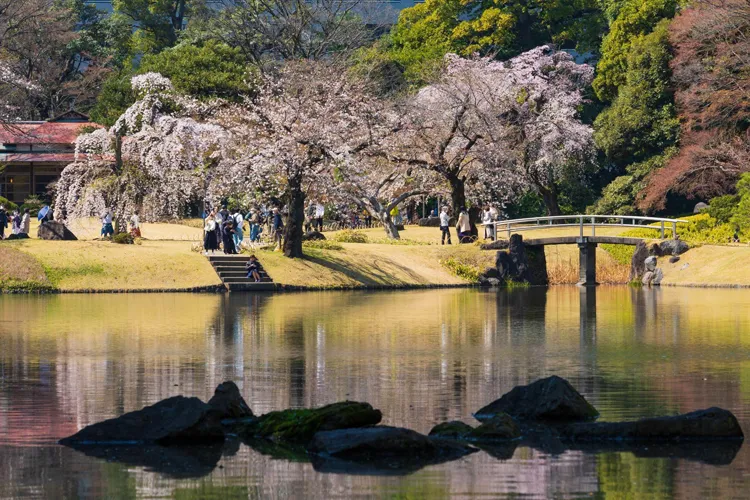 Koishikawa Kourakuen Park