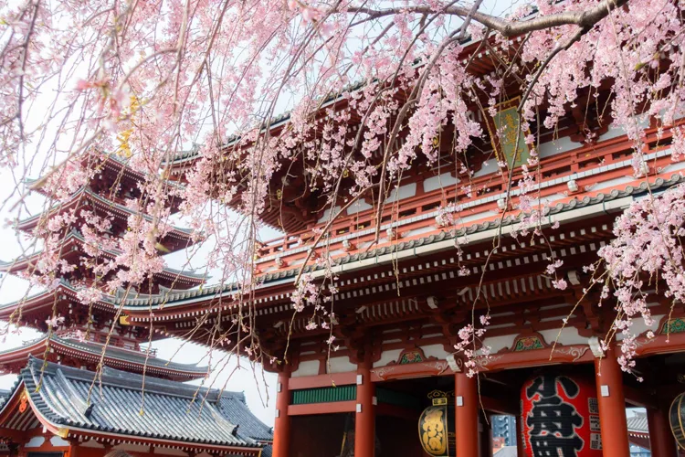 Asakusa