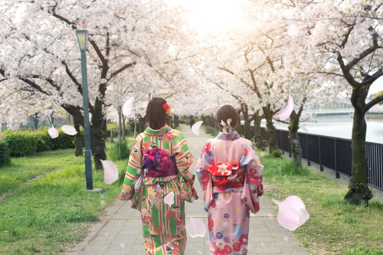 Cherry Blossom Tour