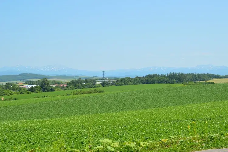 Biei Panorama Road