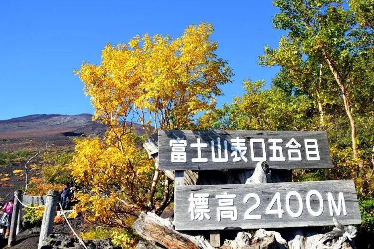 Fuji Subaru Line 5th Station