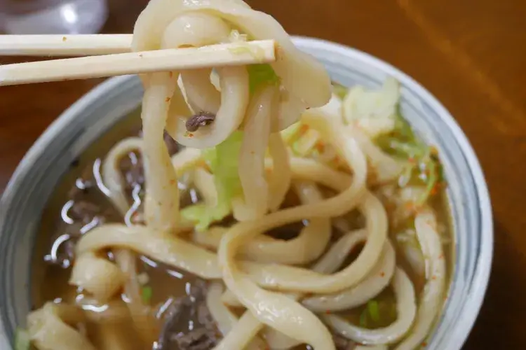 Takekawa-Udon