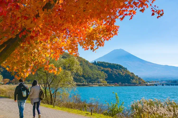 Lake Kawaguchi