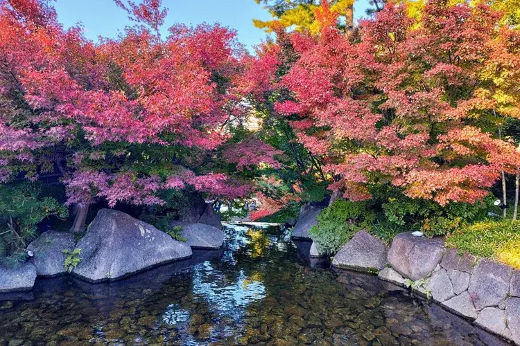 Tokugawa-En Garden