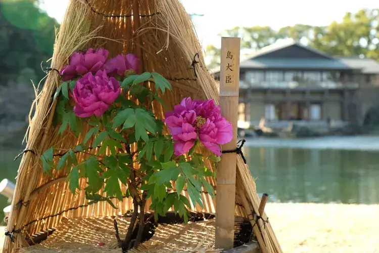 Tokugawa-En Garden