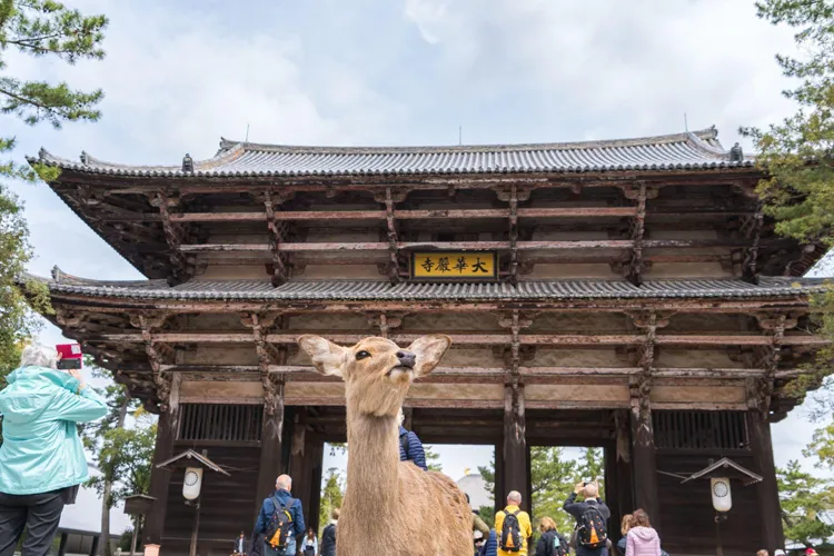 Todaiji Temple