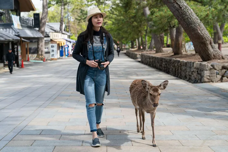 nara park