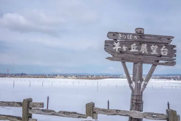 Sapporo Hitsujigaoka Observation Hill