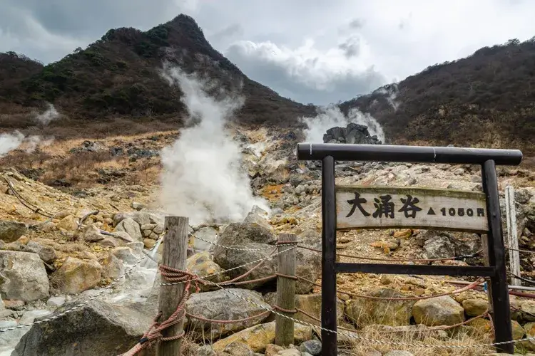 Hakone Hot Springs