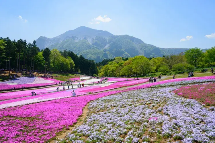 Hitsujiyama Park