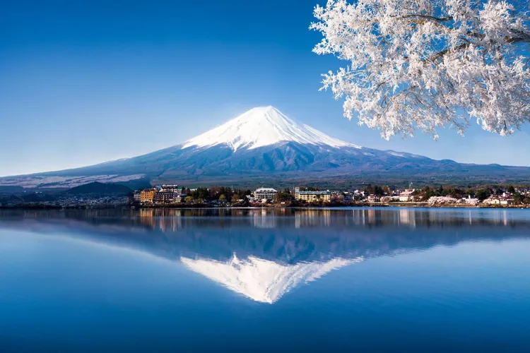 Mt. Fuji