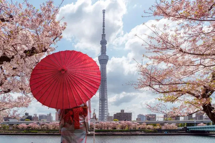 Sumida Park