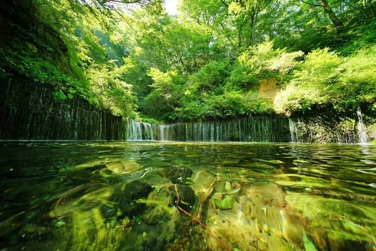 Shiraito Falls