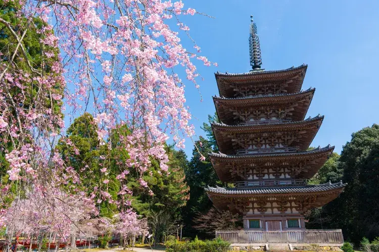 Daigoji Temple