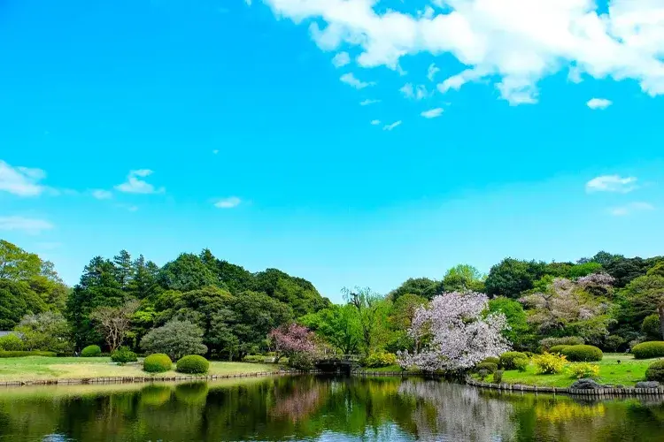 Shinjuku Gyoen National Garden