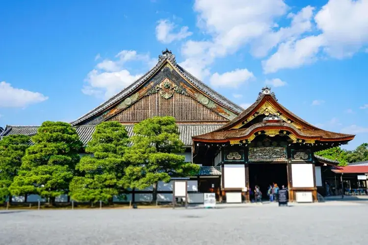 Nijo Castle (Nijojo)