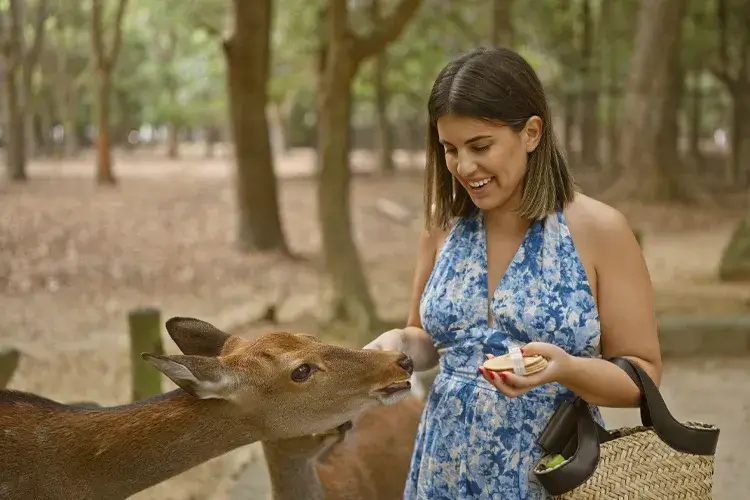 Nara Park