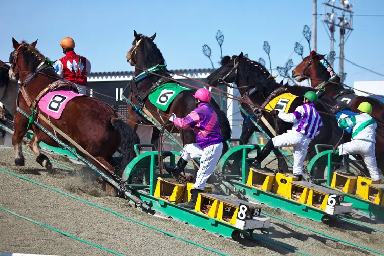 Banei Tokachi Obihiro Horse Race Track