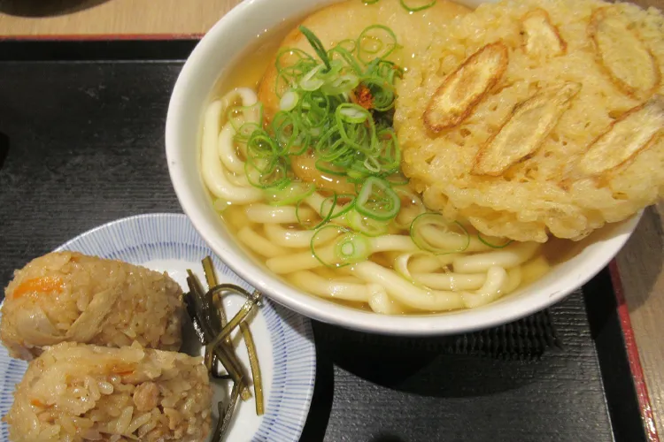 Hakata Udon