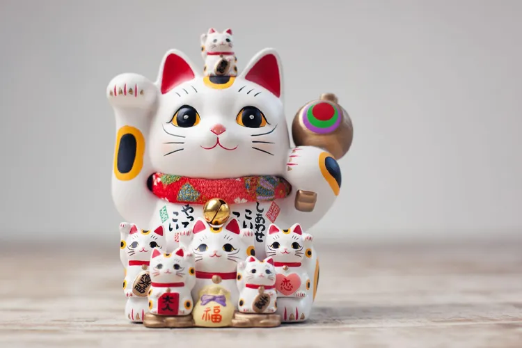 the lucky cats