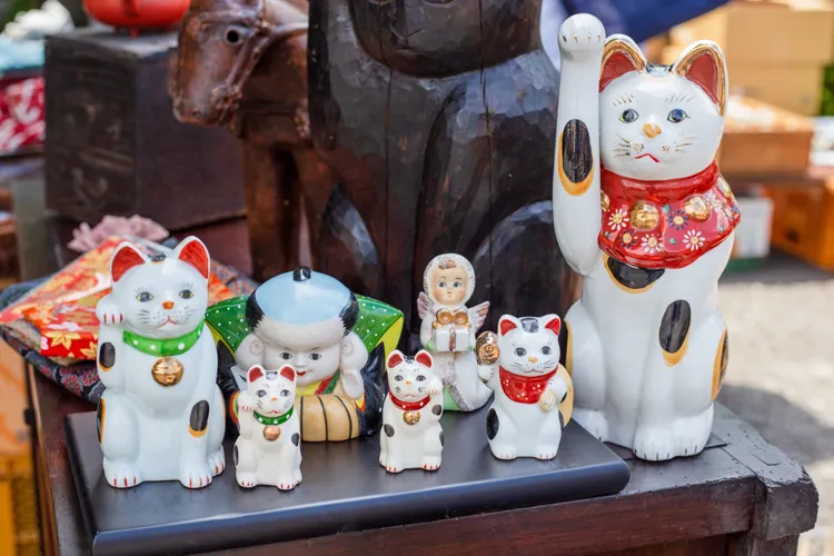 the lucky cats