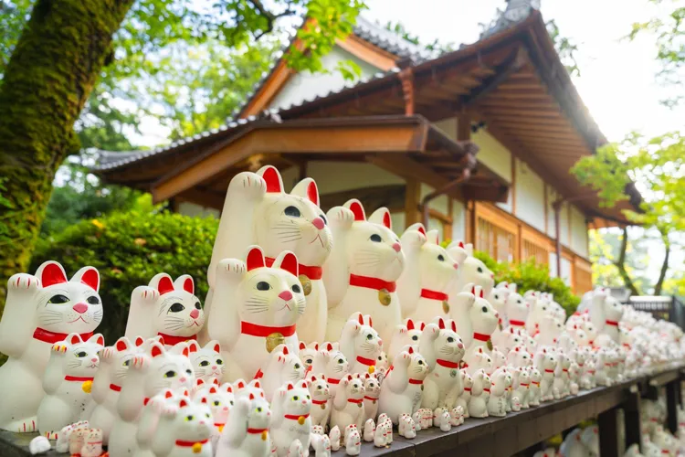 the lucky cats