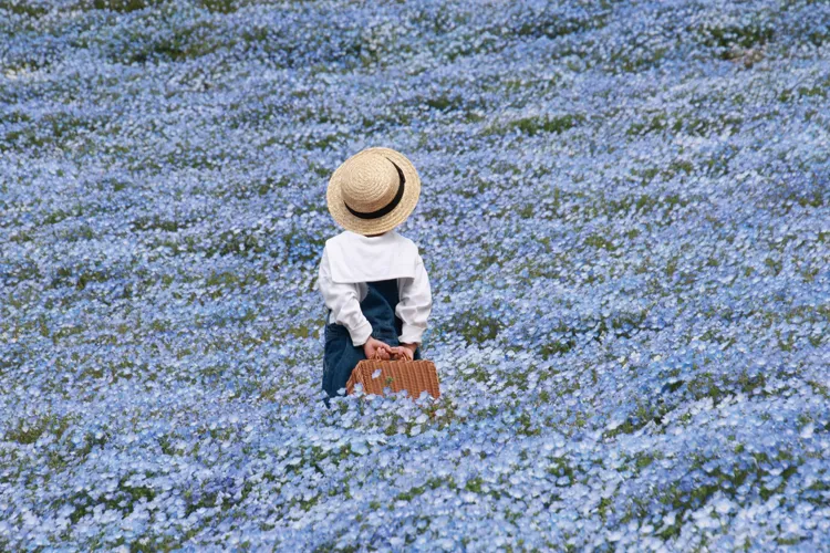 Hitachi Seaside Park