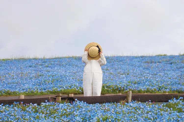 Hitachi Seaside Park