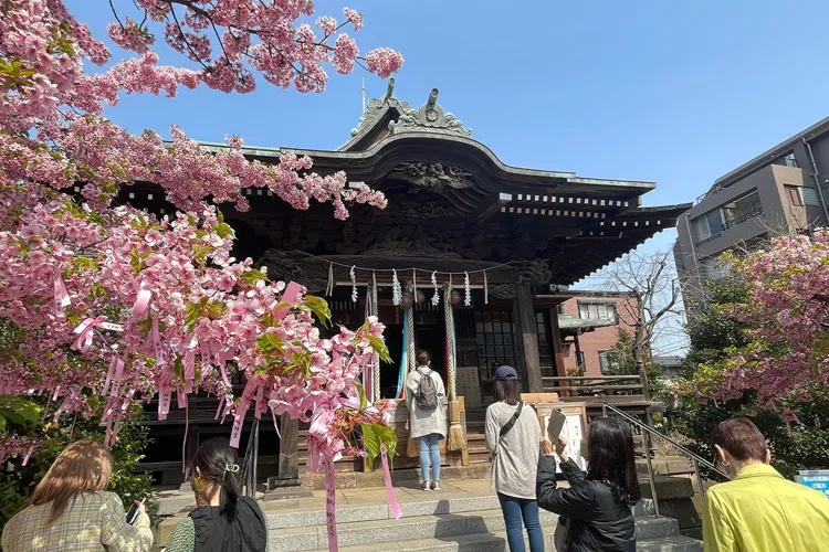 Sakura Jingu Shirine