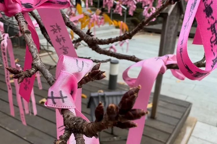 Sakura Jingu Shirine