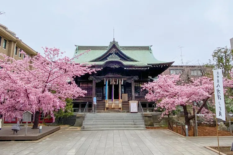 Sakura Jingu Shirine