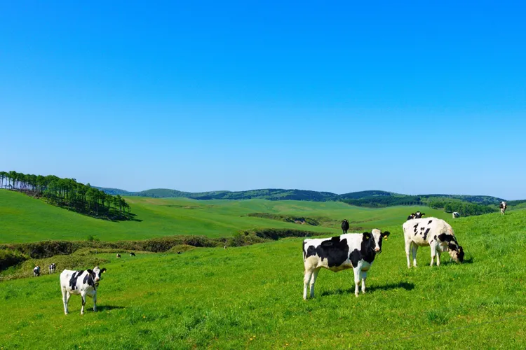 Hokkaido