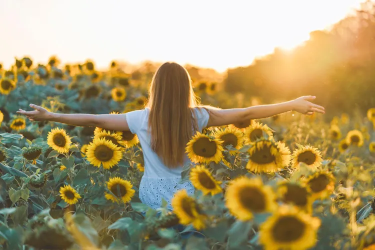 Spectacular Flower Fields